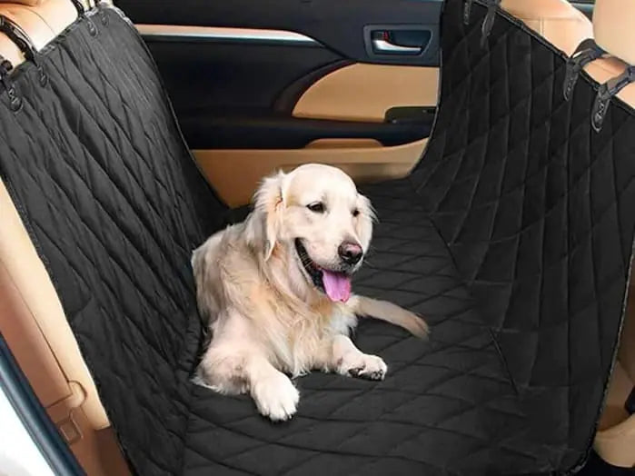 A look inside a ritzy car revealing its upscale dog seat covers.